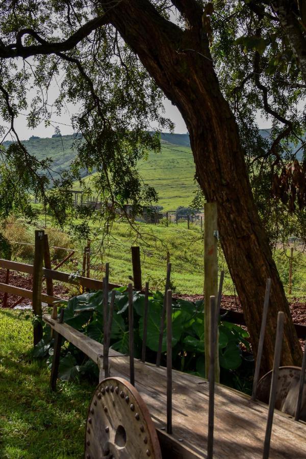 Bubble Pingo Do Mula Serra Da Canastra Сан-Роки-ди-Минас Экстерьер фото